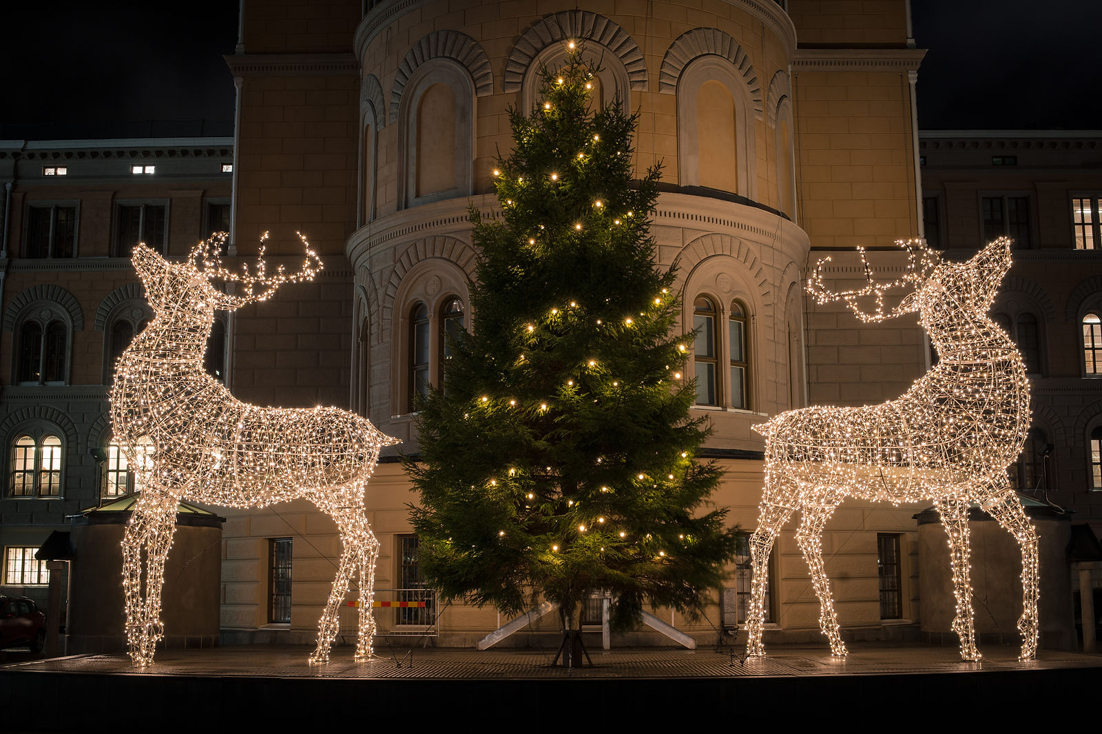 Holiday Lighting